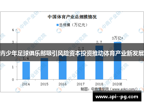 青少年足球俱乐部吸引风险资本投资推动体育产业新发展