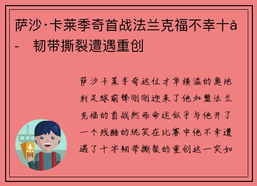 萨沙·卡莱季奇首战法兰克福不幸十字韧带撕裂遭遇重创