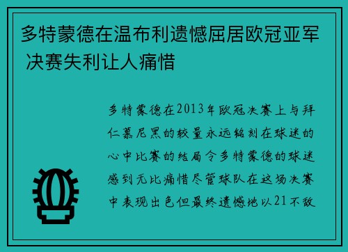 多特蒙德在温布利遗憾屈居欧冠亚军 决赛失利让人痛惜